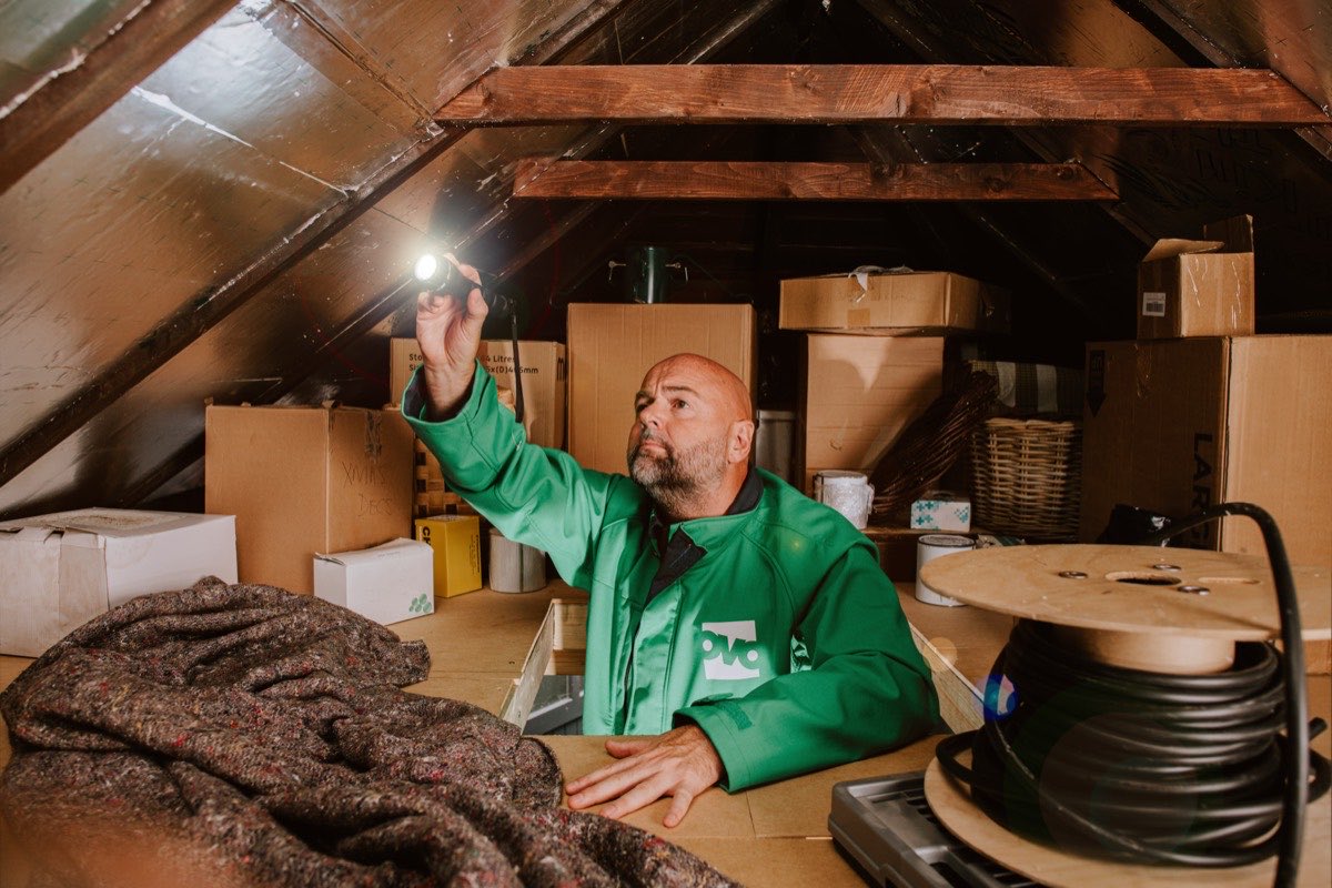 An OVO engineer using a torch to inspect roof timbers in a loft beside a drum of cable